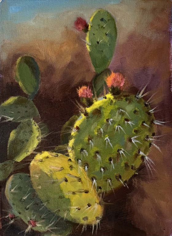 Cactus