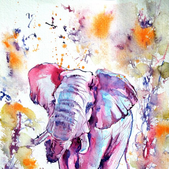Elephant II