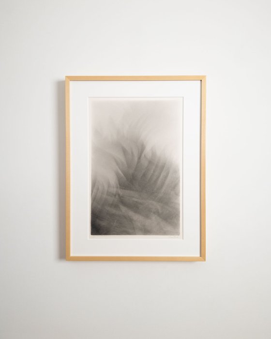 Folium III - Framed Print