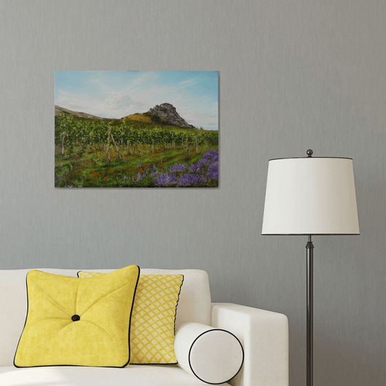 Lavender Field and Vineyard