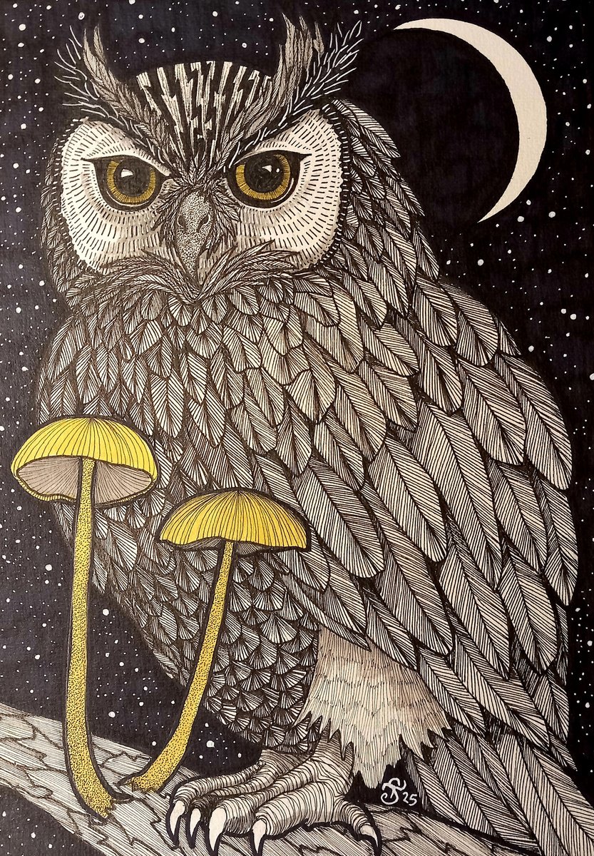 Night Owl by Terri Smith