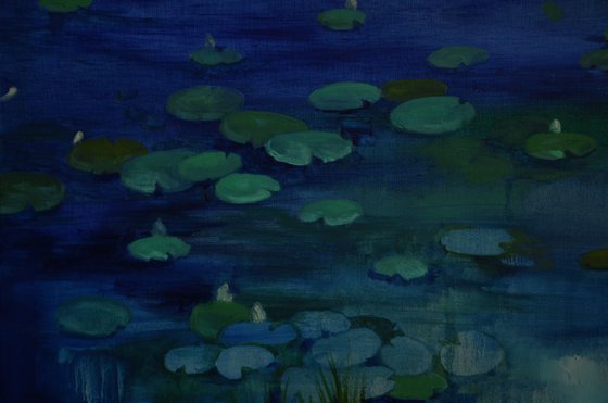 Lily pond. Lullaby