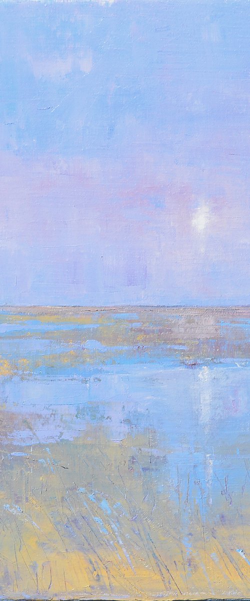 Moon rising over the marsh by Tom Cringle