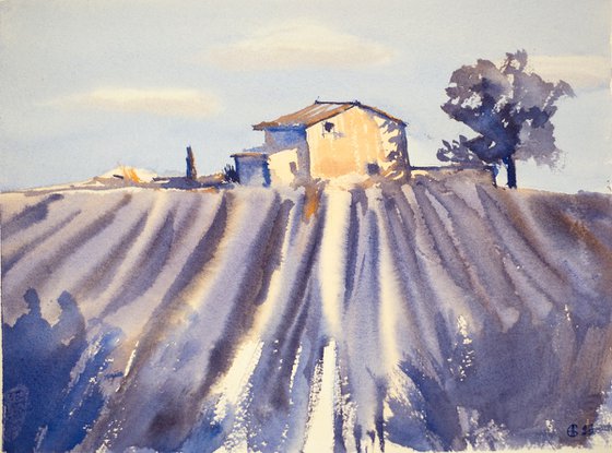 Lavender field in Provence. Medium watercolor pastel drawing bright colors France