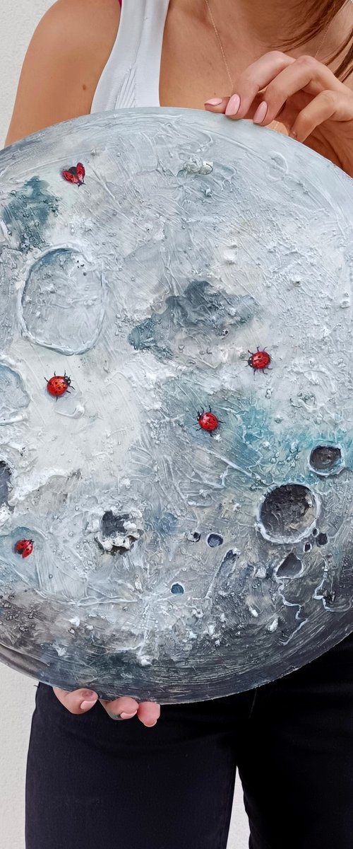Ladybugs On The Moon by Evgenia Smirnova