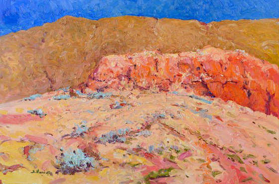 Desert Reverie