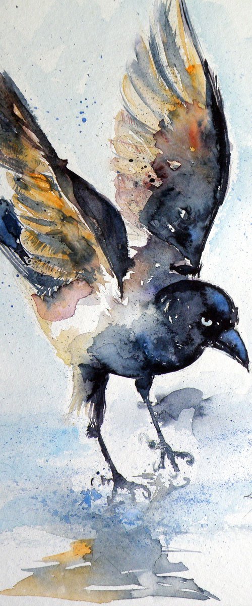 Crow on ice by Kovács Anna Brigitta