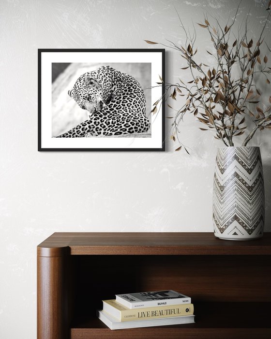 THE BIG LEOPARD