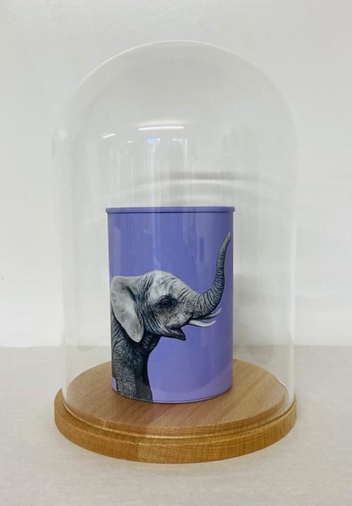 Elephant Can by Louise McNaught