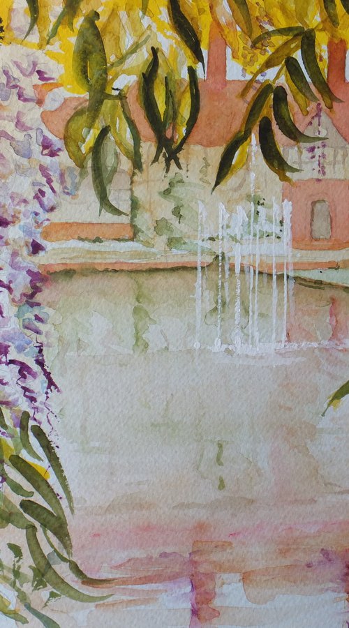 Wisteria in Wisley by David Harmer