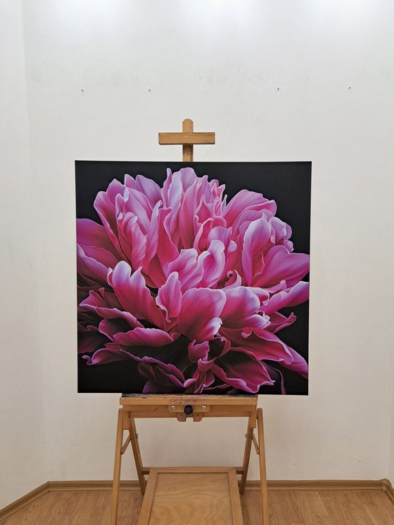 Energy of Pink Blossoming