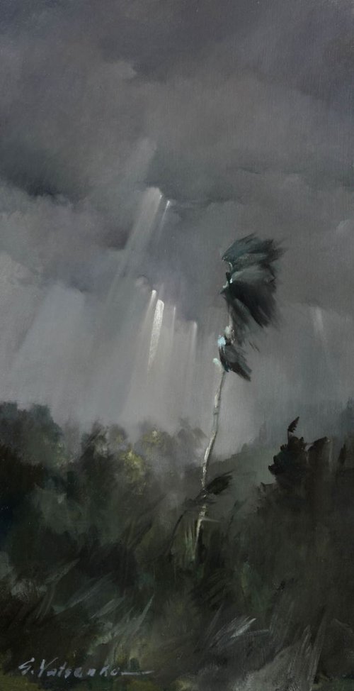 Windy by Sergei Yatsenko