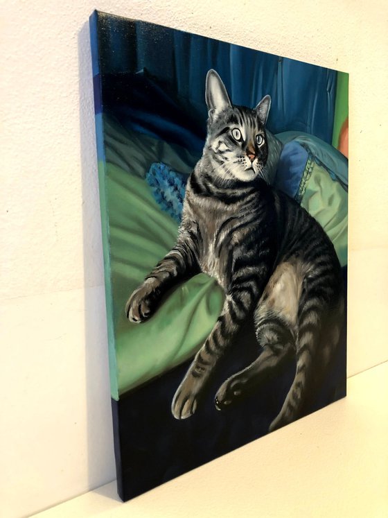 Intense Curiosity - Oil Cat Portrait