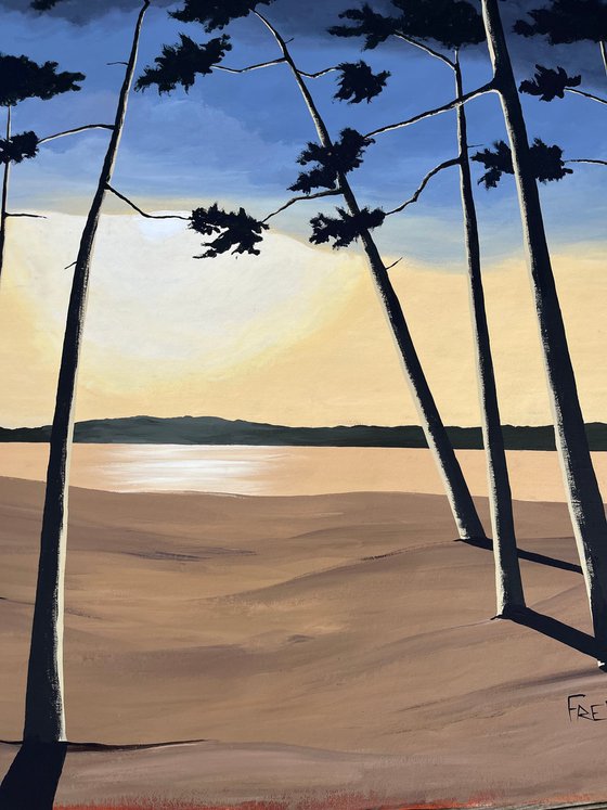 Pines at dusk