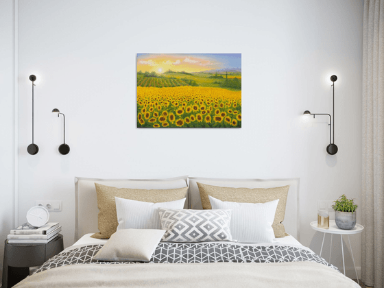 Sunrise on sunflowers