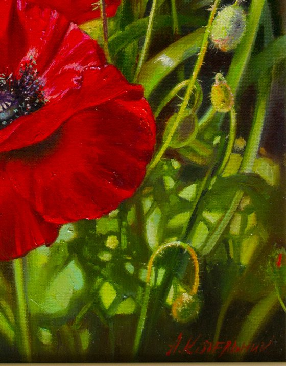 "Scarlet poppies" flowers poppies realism liGHt original painting   GIFT (2018)