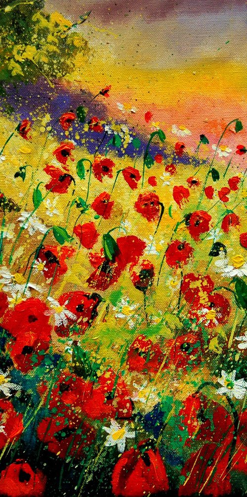 Red poppies  5624 by Pol Henry Ledent