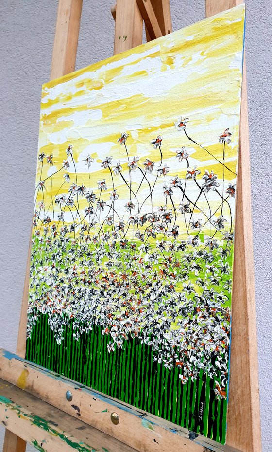 Daisy magic meadow 1