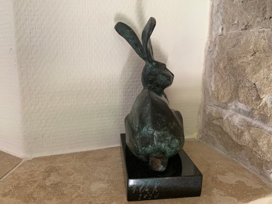 Rabbit