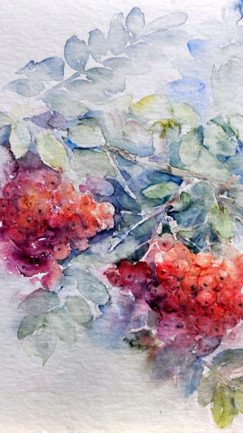 ROWAN original watercolour 32x24 by Beata van Wijngaarden