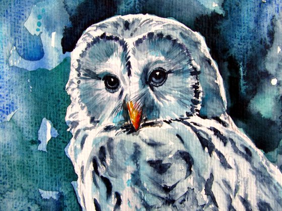 Owl in the forest