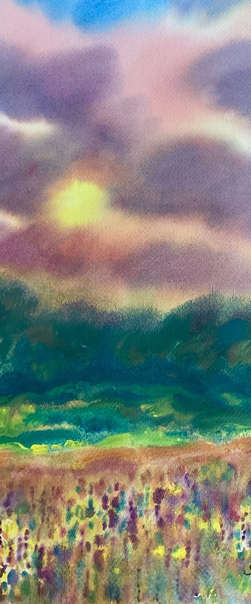Millook Meadow at Sunset by Samantha Adams