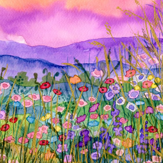 Wildflowers Galore