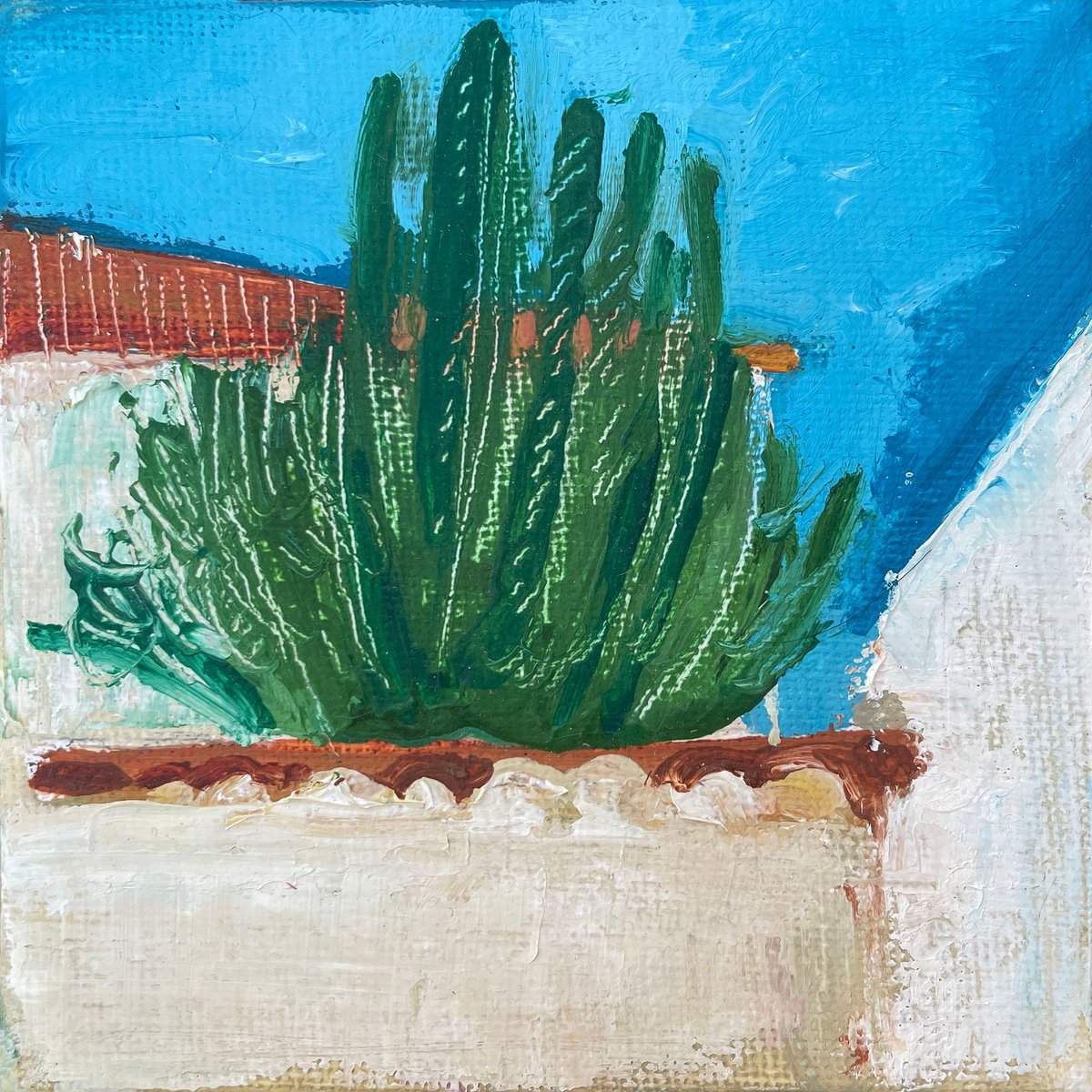 Spanish Cactus - 10x10 cm by Victoria Dael