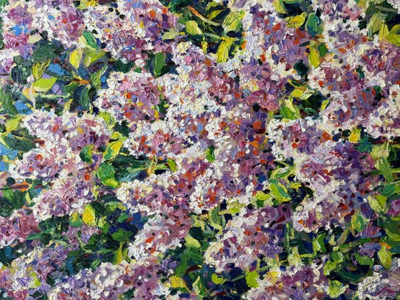 Breath of spring..