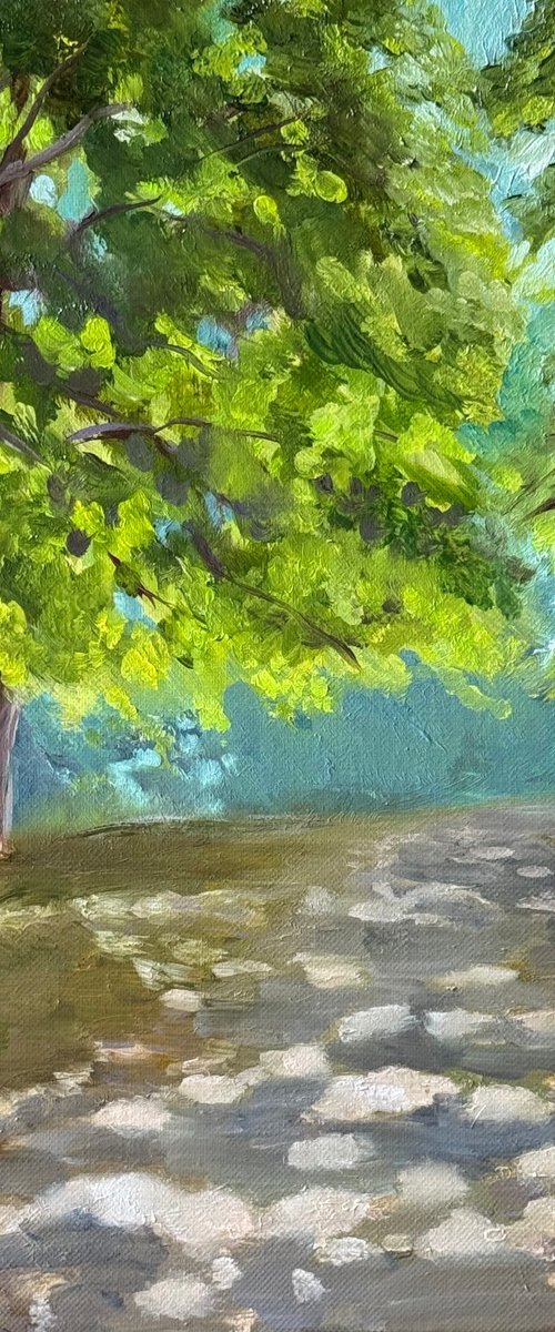 Light Between the Leaves 4 by Masha Voronovskaya