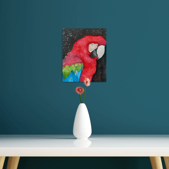 Red macaw parrot watercolour painting.