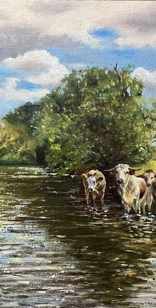 Longhorn Cattle on the Hampshire Avon by Peter Frost