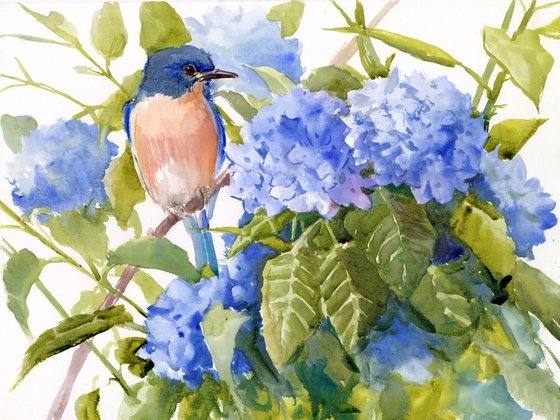 BLuebird and Hydrangea