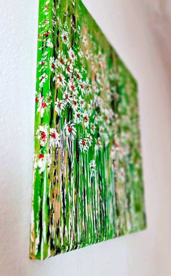 Daisies In The Grass 5