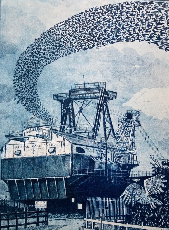 The owl, the starlings and the walking dragline