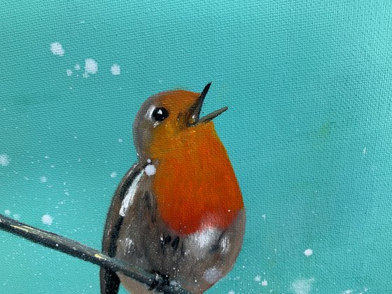 Singing Robin