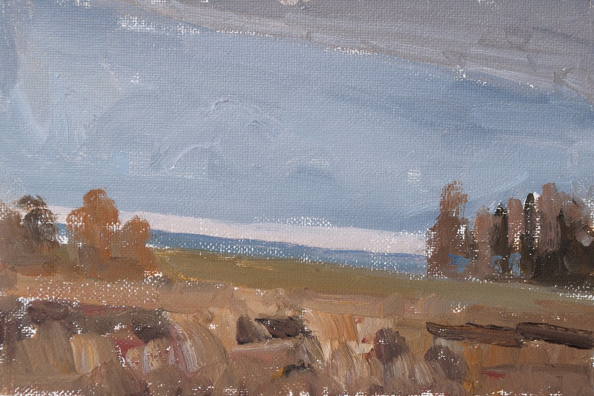 Autumn field by Kirill Kornilov
