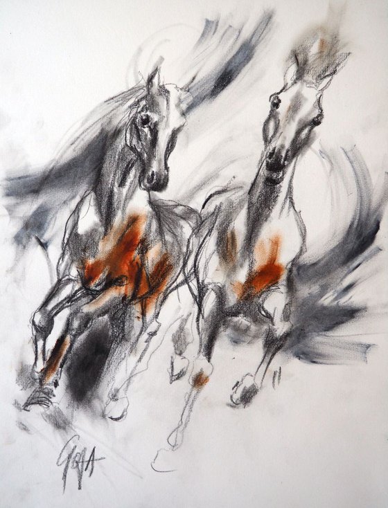 HORSES