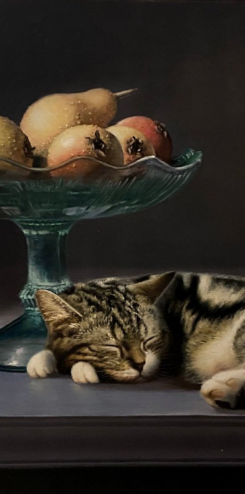 Sleeping Cat and Pears by Paul Cheng