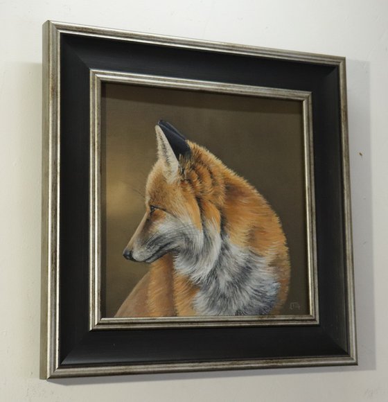 A Fox