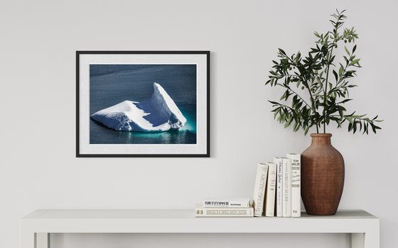 THE BAUTIFUL ICEBERG