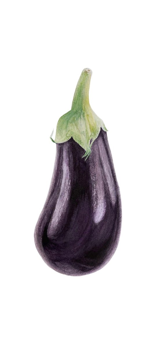 Eggplant by Julia Gorislavska