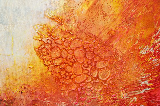 Sakura: The Story of Pink