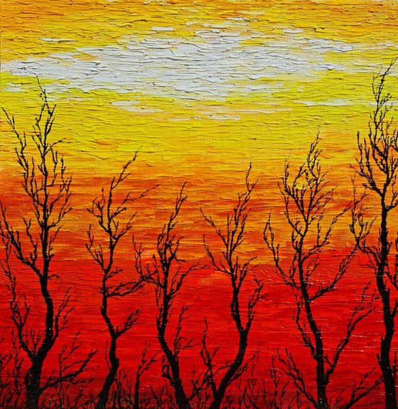 Sunny trees