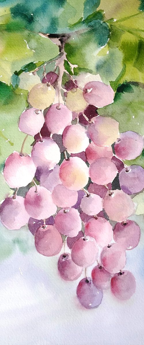 Grapes, watercolor illustration by Tanya Amos