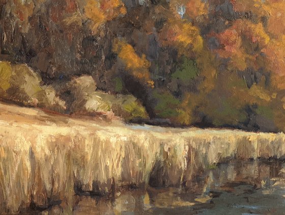 Autumn at the River's Edge