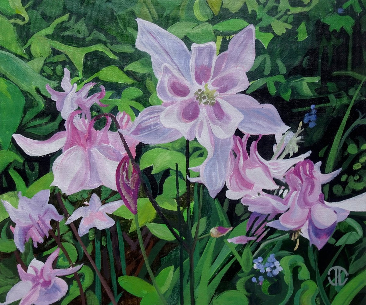 Aquilegia Flowers by Joseph Lynch