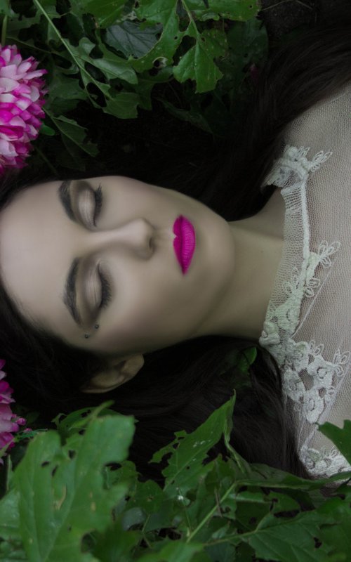 Dreams of Ophelia by Viet Ha Tran