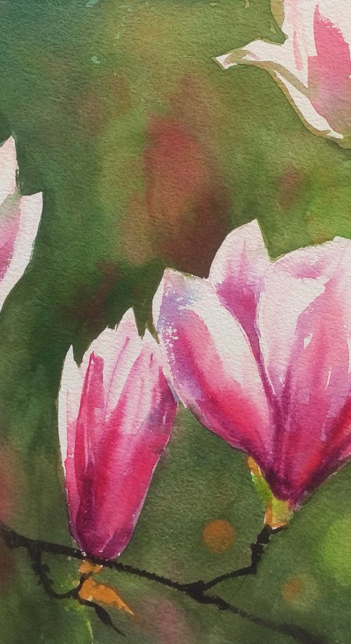 Blooming magnolia - Magnolia Blossoms - Beauty Of Spring - Pink Magnolias - Blooming Flower Magnolia  - mother's day gift by Olga Beliaeva Watercolour