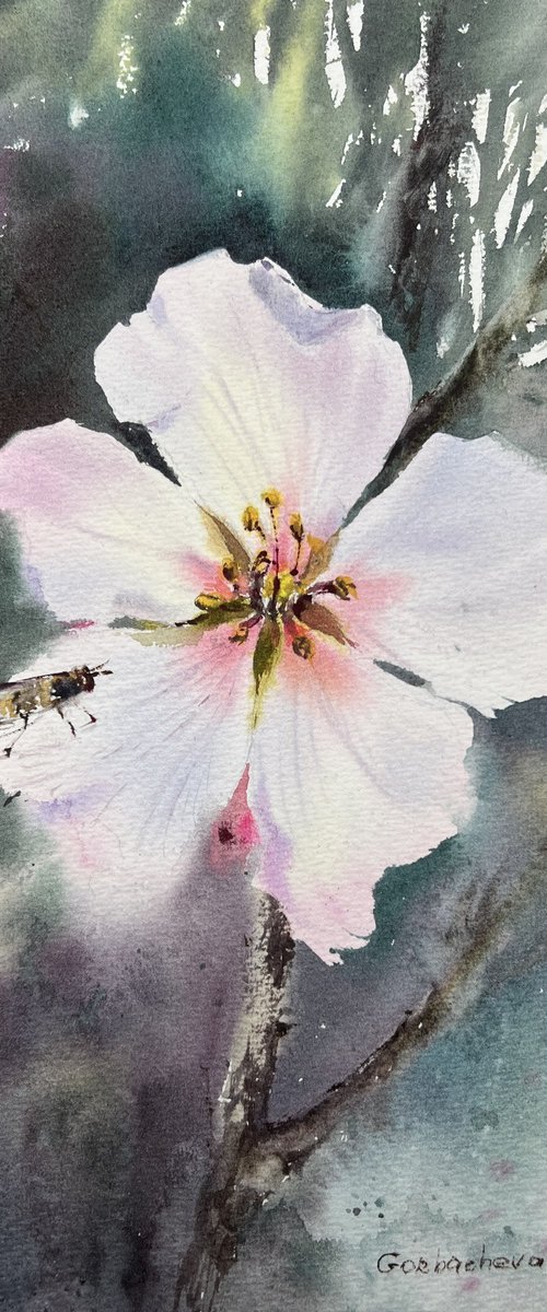 Almond flower #9 by Eugenia Gorbacheva